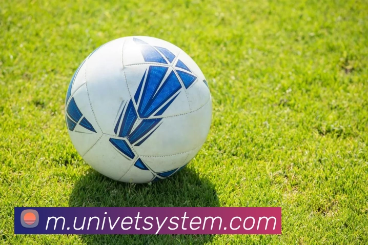 奖项证书